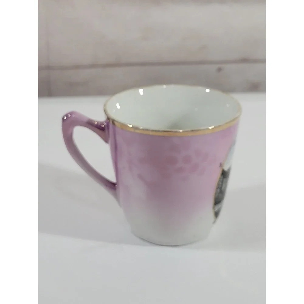 German Souveneir Cup Blick auf Herrnskretschen Gruss aus Schona Pink White Vtg